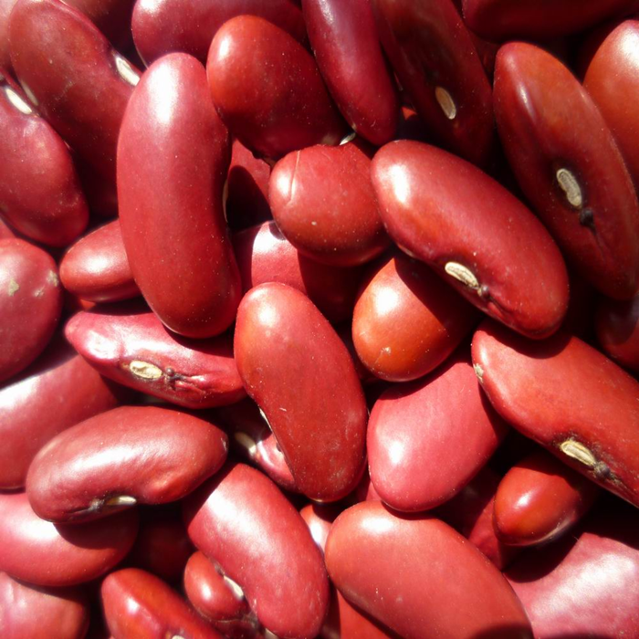 canned kidney bean manufacturer